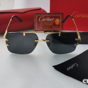 Cartier Glasses