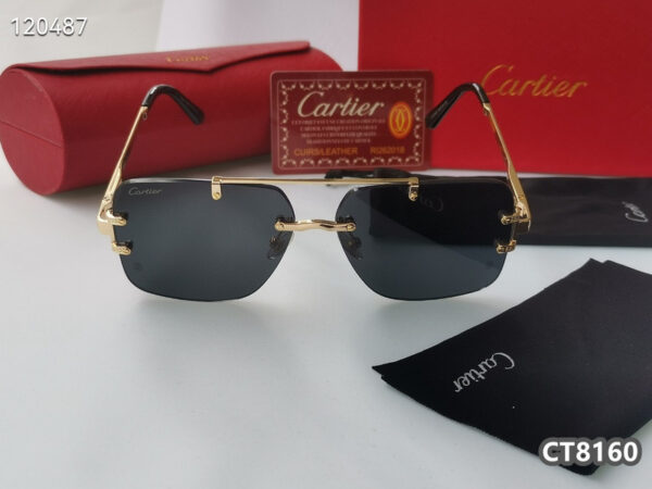 Cartier Glasses