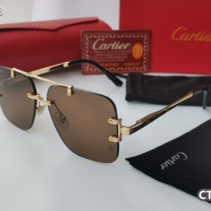 Cartier Glasses