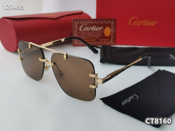 Cartier Glasses