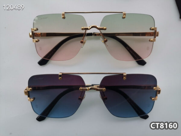 Cartier Glasses