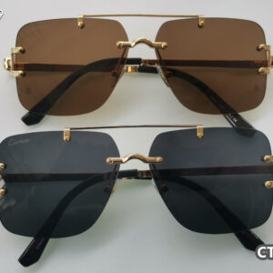 Cartier Glasses