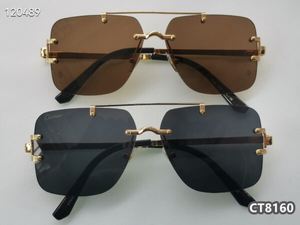 Cartier Glasses